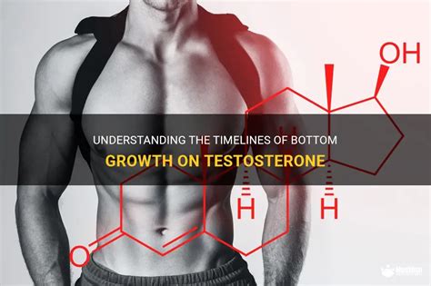 how big can bottom growth be|Testosterone HRT and Bottom Growth